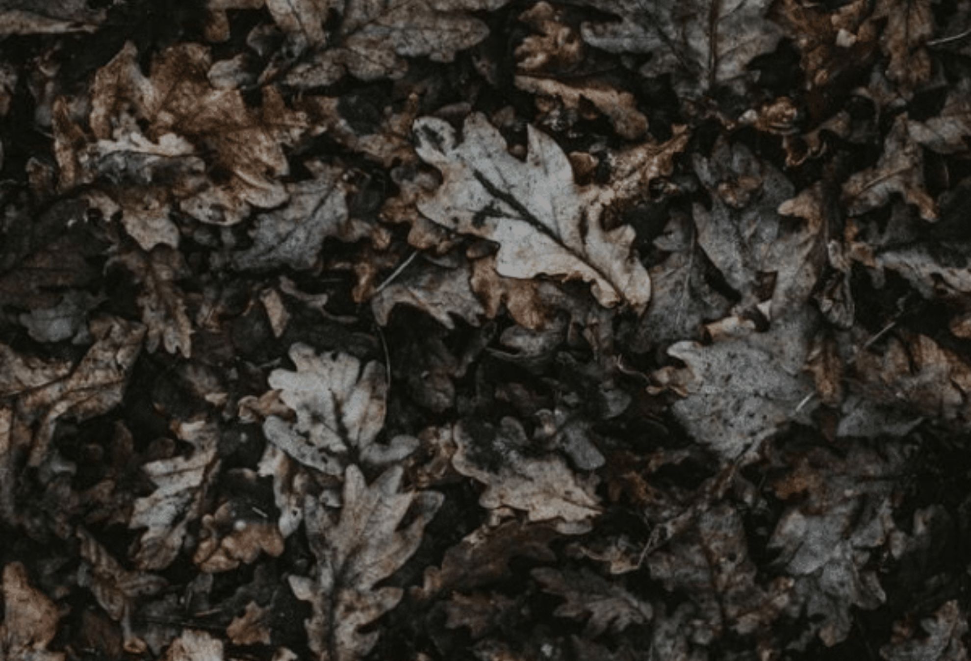 Σκουριά λαδιές και λεκέδες από σάπια φύλλα στο μπαλκόνι: Δείτε πως να απαλλαγείτε από την δύσκολη βρωμιά και να το ξανά κάνετε να αστράφτει 