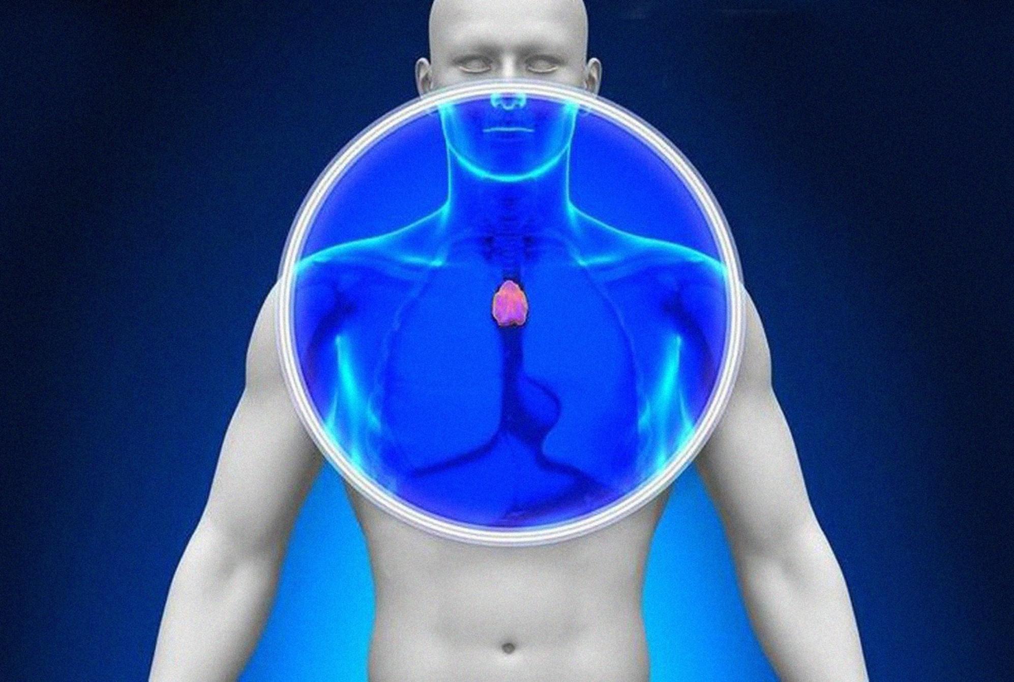 Θύμος αδένας: Τι είναι και από τι κινδυνεύουν όσοι τον αφαιρούν