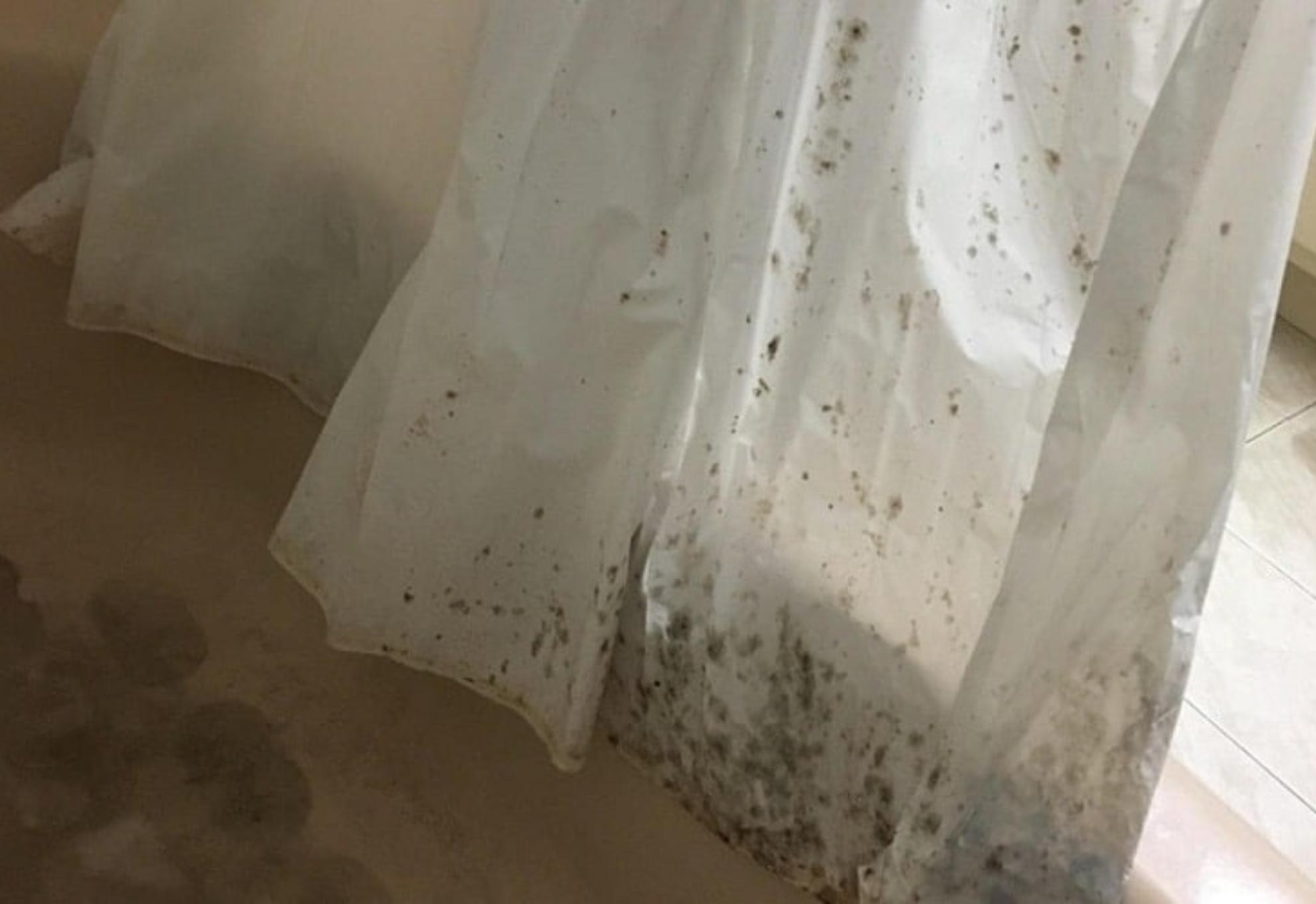Μούχλα βρωμιά και υπολείμματα σαπουνιού στην κουρτίνα του μπάνιου: Έτσι θα την κάνετε να αστράψει και να μοιάζει με καινούρια