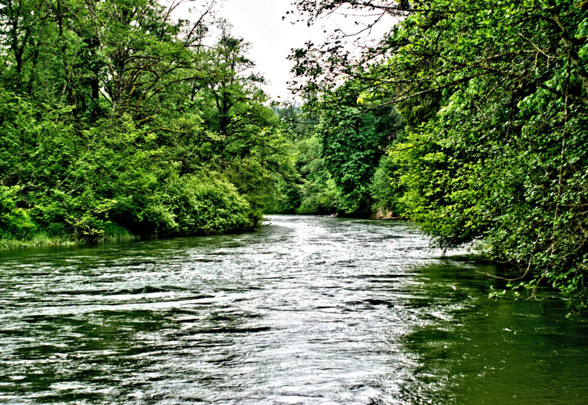 Ο δολοφόνος του ποταμού Γκριν: Ο νεκρόφιλος serial killer που σκότωσε πάνω από 48 γυναίκες επειδή κανείς δεν ενδιαφερόταν