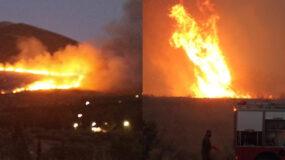 Φωτιά Εύβοια: Ανεξέλεγκτο μέτωπο σε Νέα Αρτάκη και Ψαχνά – Άνεμοι πάνω από 7 μποφόρ
