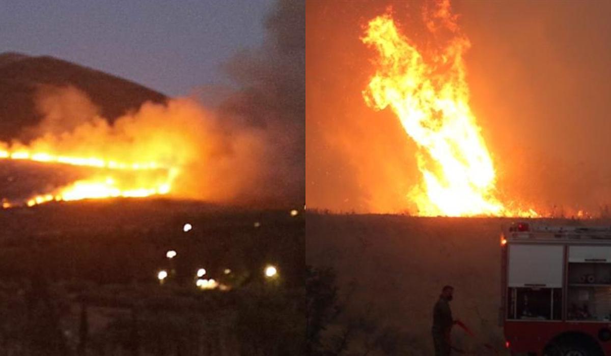 Φωτιά Εύβοια: Ανεξέλεγκτο μέτωπο σε Νέα Αρτάκη και Ψαχνά – Άνεμοι πάνω από 7 μποφόρ