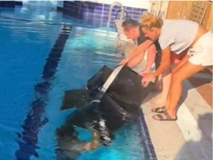 Κόνι Μεταξά: Της έφυγε το μπάρμπεκιου στην πισίνα του σπιτιού της