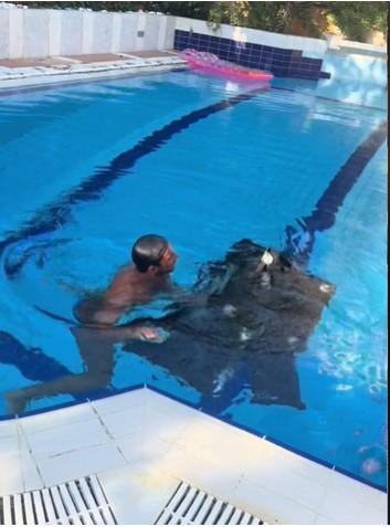 Κόνι Μεταξά: Της έφυγε το μπάρμπεκιου στην πισίνα του σπιτιού της