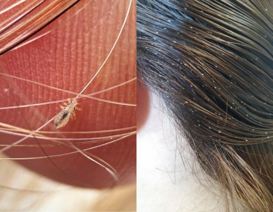 συμβουλές-για-παιδιά-που-πάνε-πρώτη φορά-Δημοτικό-Α' Δημοτικού-back to school 2023- συμβουλές-για-παιδιά-που-πάνε-πρώτη φορά-Δημοτικό-Α' Δημοτικού-back to school 2023-