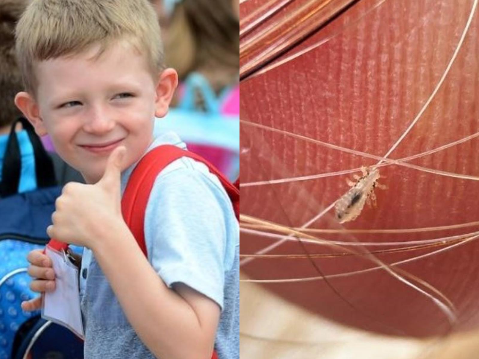 συμβουλές-για-παιδιά-που-πάνε-πρώτη φορά-Δημοτικό-Α' Δημοτικού-back to school 2023-