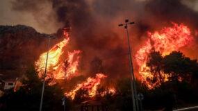 Πάρνηθα – Βacking fire : Τι σημαίνει πως η φωτιά είναι «οπισθοδρομούσα»