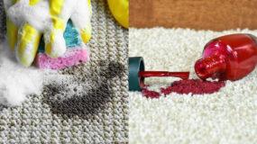 Φθινόπωρο 2023: Λάσπη κόλα βερνίκι νυχιών και λαδιές στα χαλιά – 4 Tips για το πιο αποτελεσματικό πλύσιμό στο σπίτι 