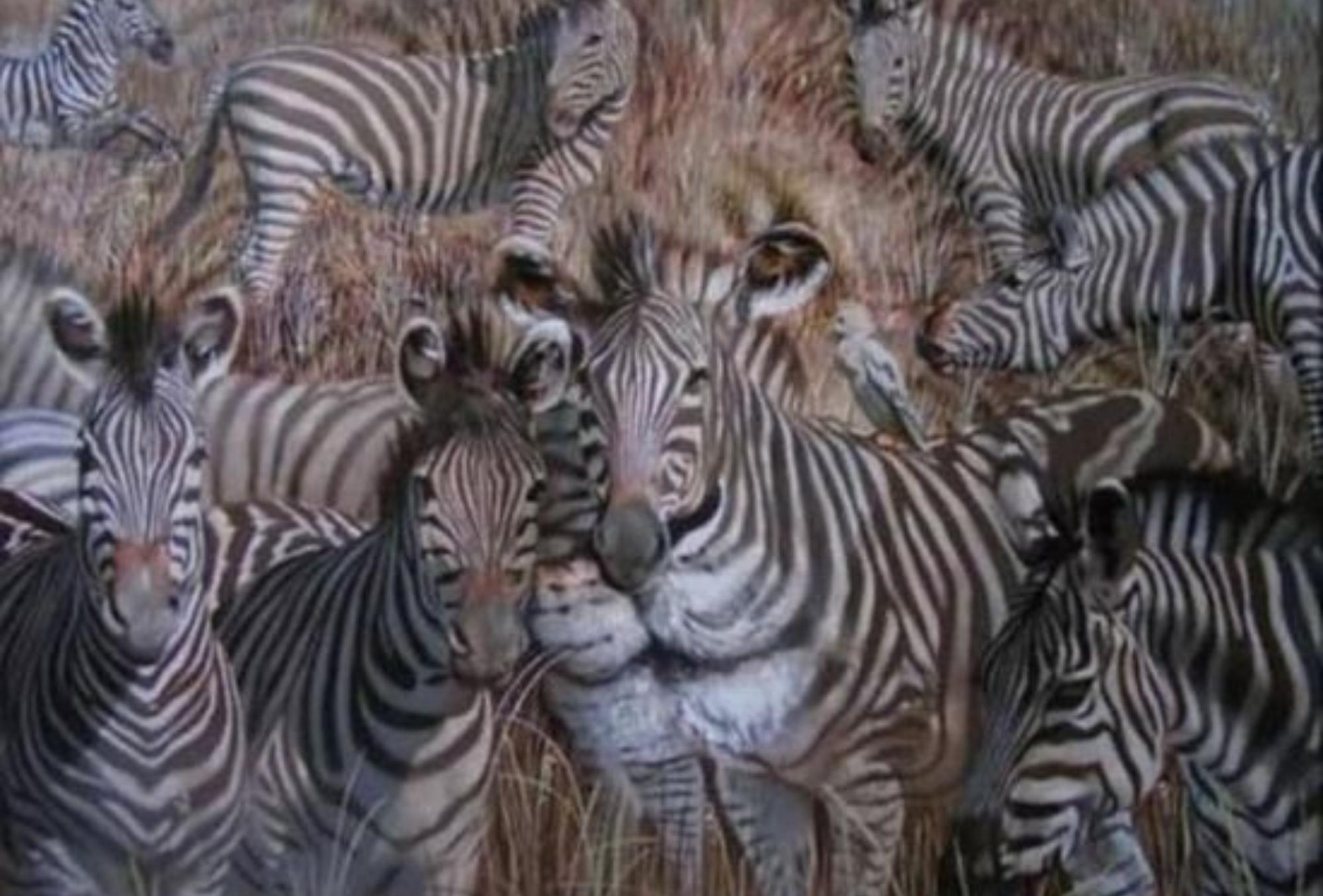 Ψυχολογικό τεστ: Το πρώτο ζώο που βλέπεις στην εικόνα σου αποκαλύπτει την πιο βαθιά σου ανασφάλεια