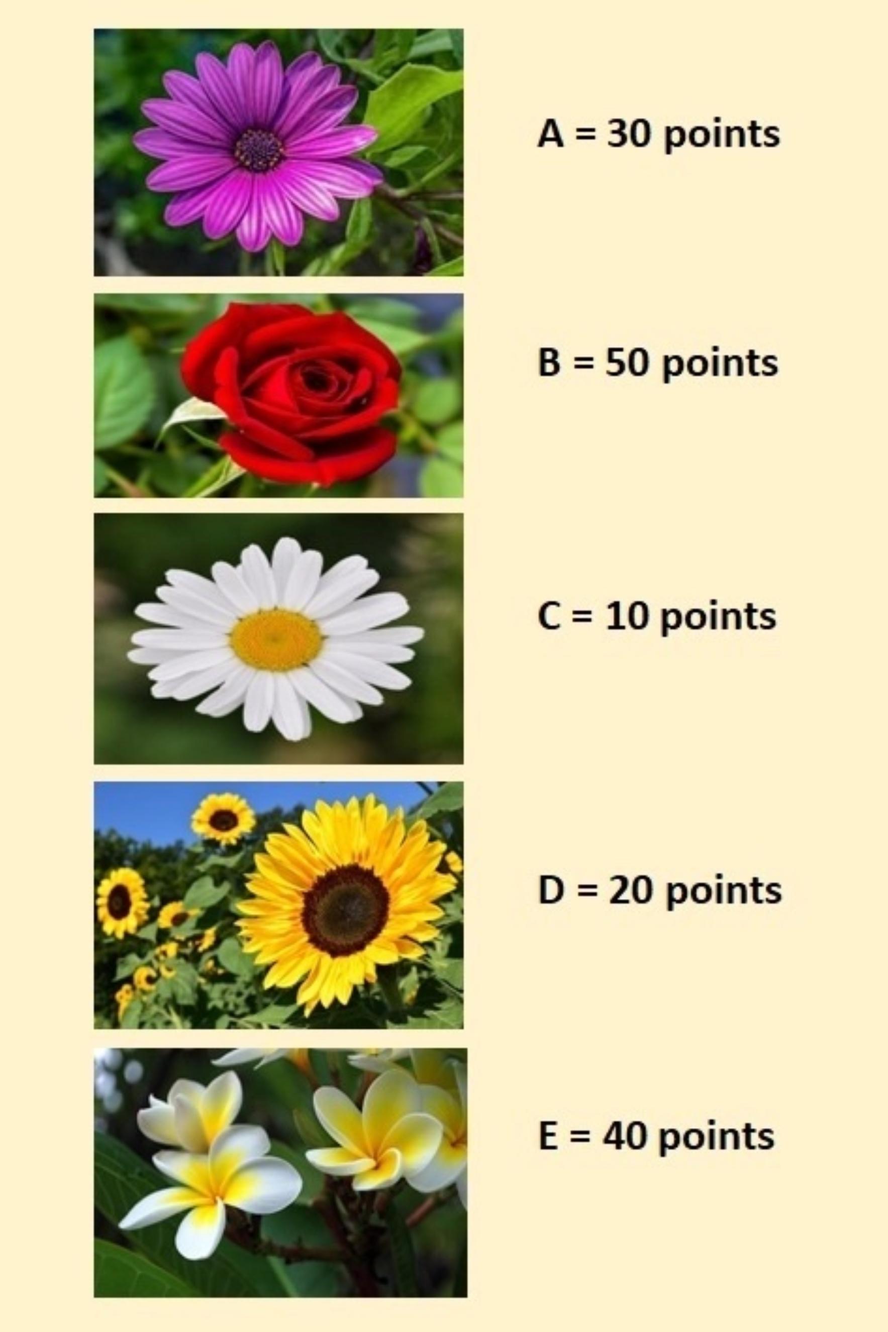 Τεστ: Ανακάλυψε ποια είναι η πνευματική σου ηλικία