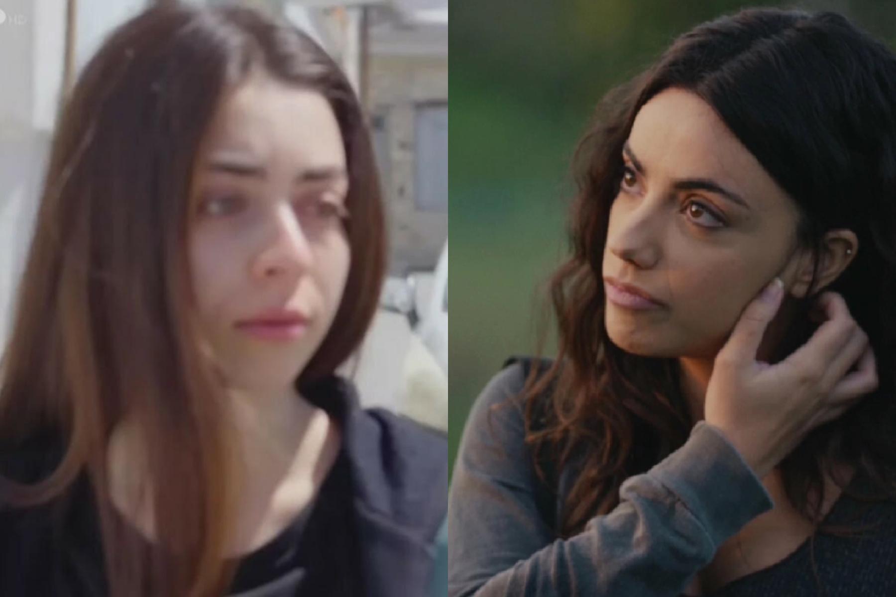 Η Γη της Ελιάς: Τι συνδέει την Ειρήνη και την Θεοδώρα;