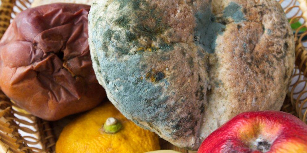 έξυπνο κόλπο-για-να-μη-μουχλιάζουν-τα-φρούτα-γρήγορα-στο-ψυγείο- έξυπνο κόλπο-για-να-μη-μουχλιάζουν-τα-φρούτα-γρήγορα-στο-ψυγείο-