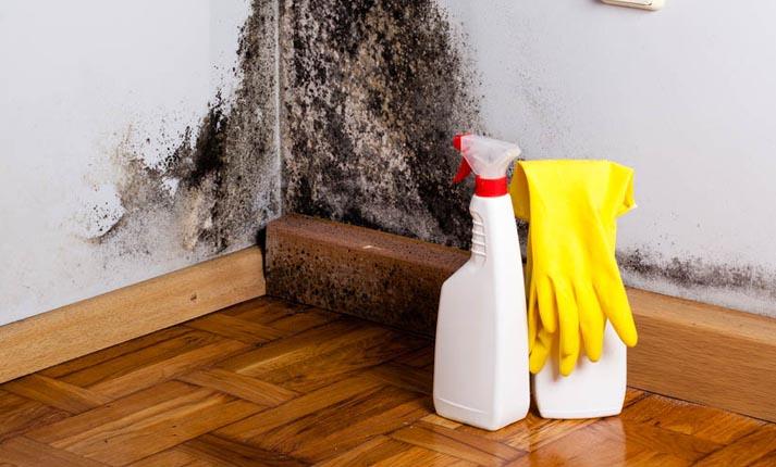 Λάσπη μούχλα και φονικά μικρόβια: Πως να καθαρίσετε και να απολυμάνετε ένα πλημμυρισμένο σπίτι