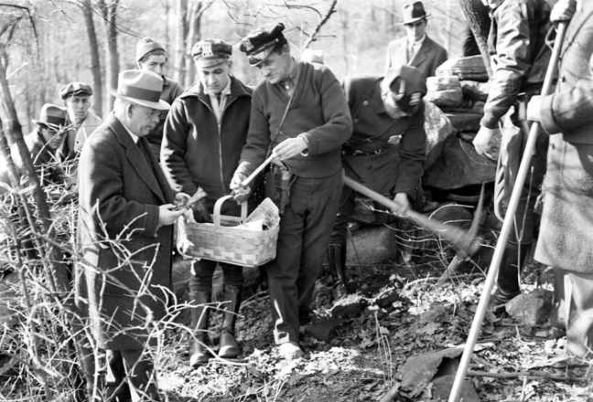 Albert Fish: Η φρικιαστική ιστορία του βαμπίρ του Μπρούκλιν που που δολοφονούσε, ακρωτηρίαζε και γευόταν τα ανήλικα θύματά του