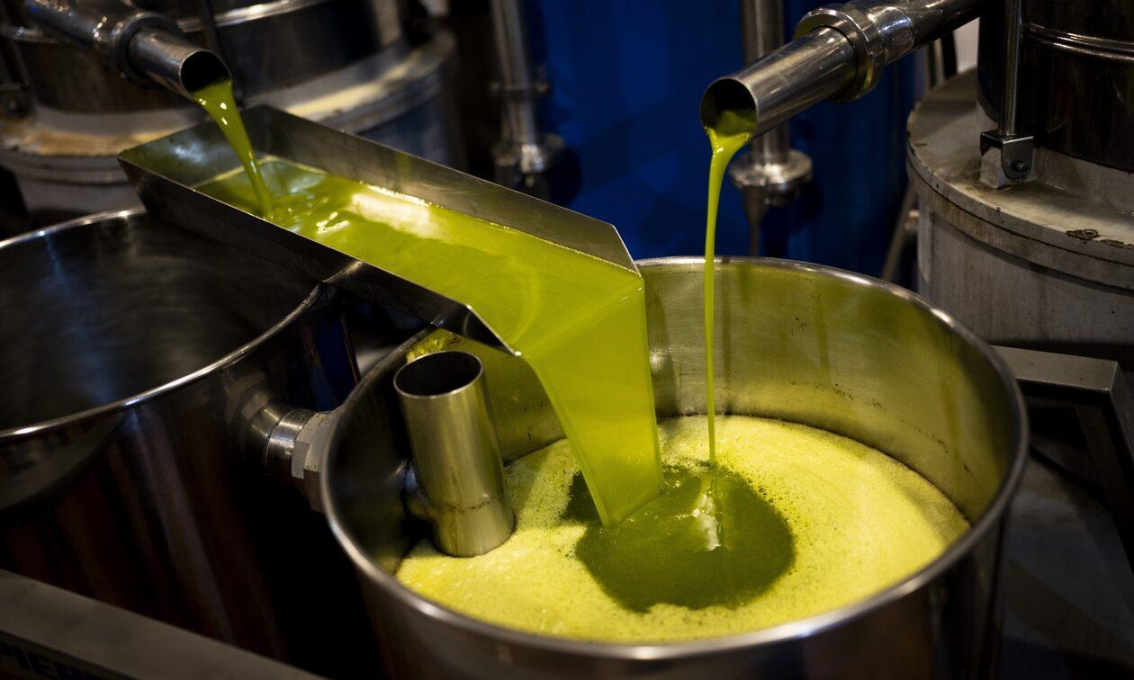 Εκτοξεύεται η τιμή του ελαιόλαδου : Η θέση της χώρας σε αυτο