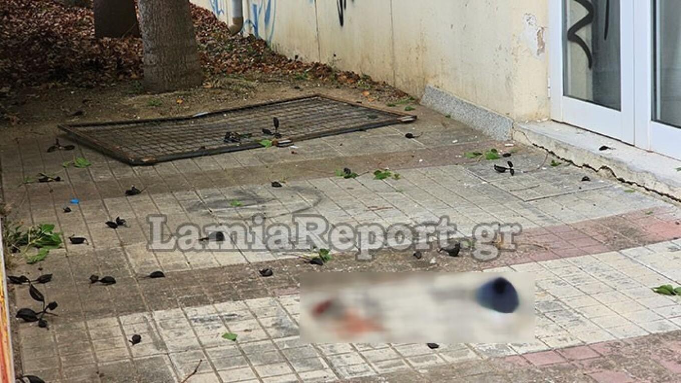 Λαμία: Μαθητής έπεσε από ύψος 5 μέτρων όταν υποχώρησε κάγκελο