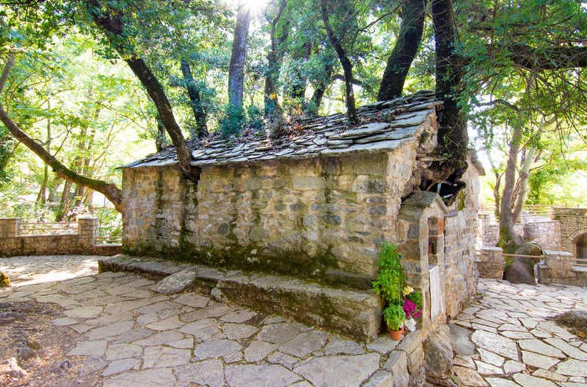 Αγία Θεοδώρα: Το εκκλησάκι που αψηφά τους νόμους της φυσικής και δεκαεφτά δέντρα ξεπηδούν από την στέγη του