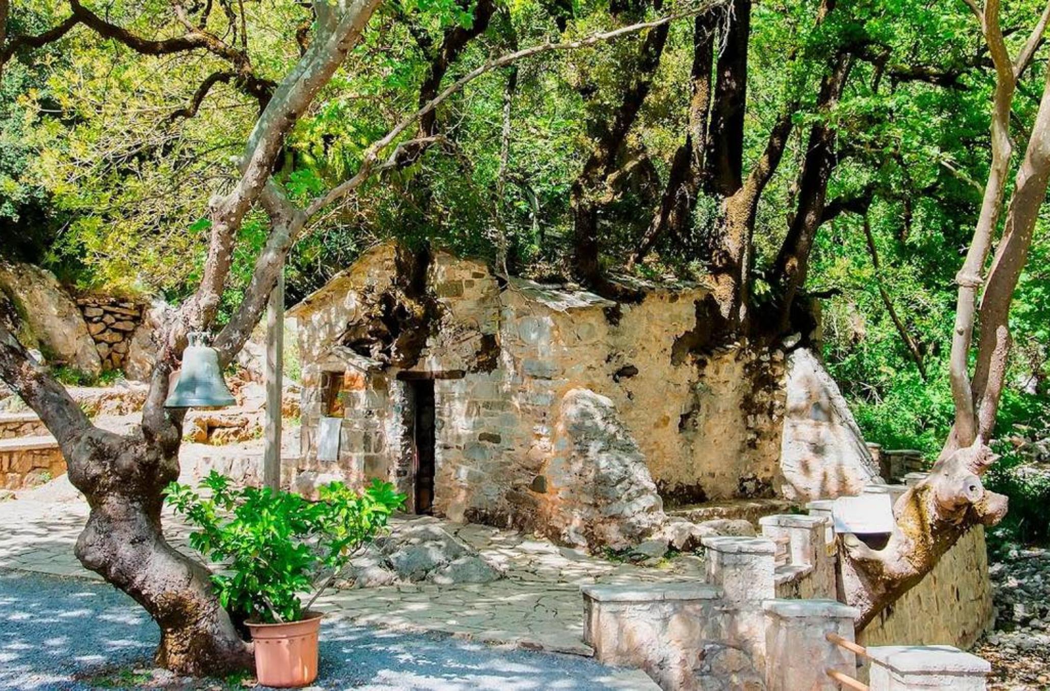 Αγία Θεοδώρα: Το εκκλησάκι που αψηφά τους νόμους της φυσικής και δεκαεφτά δέντρα ξεπηδούν από την στέγη του