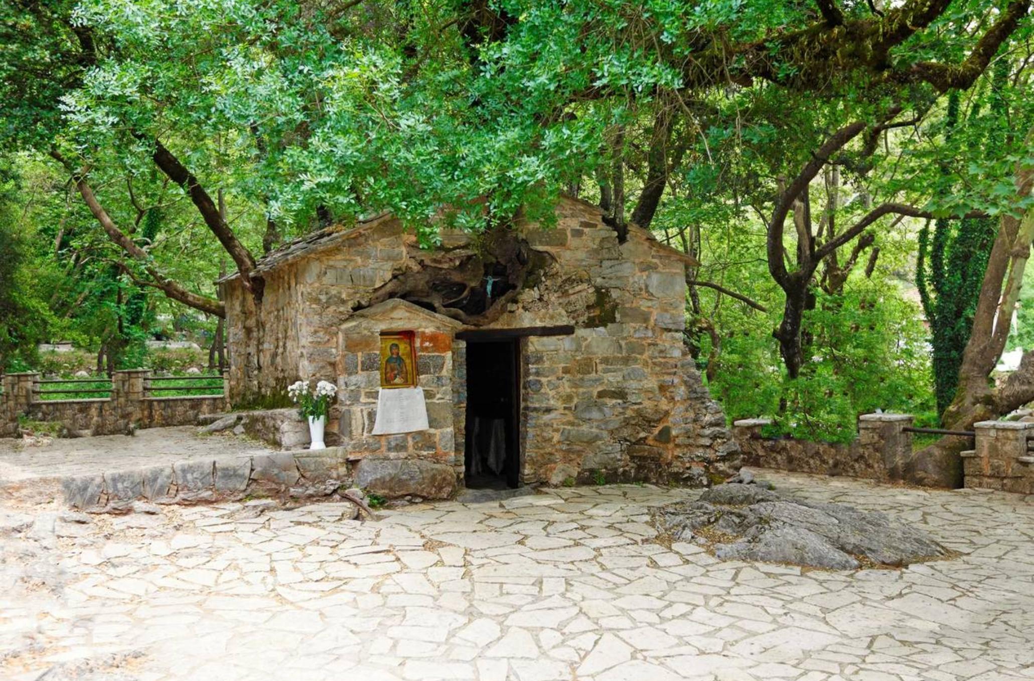 Αγία Θεοδώρα: Το εκκλησάκι που αψηφά τους νόμους της φυσικής και δεκαεφτά δέντρα ξεπηδούν από την στέγη του