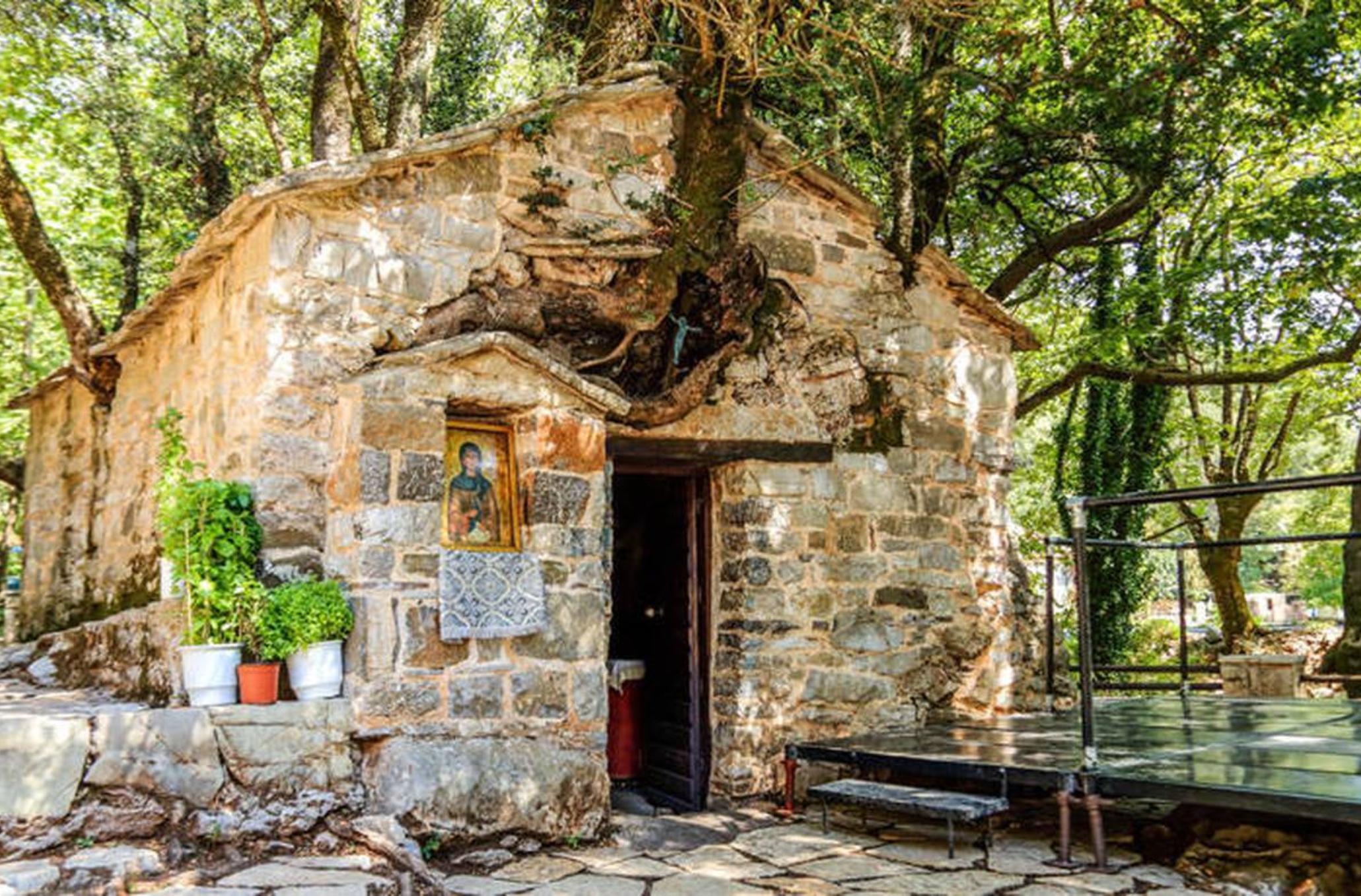 Αγία Θεοδώρα: Το εκκλησάκι που αψηφά τους νόμους της φυσικής και δεκαεφτά δέντρα ξεπηδούν από την στέγη του