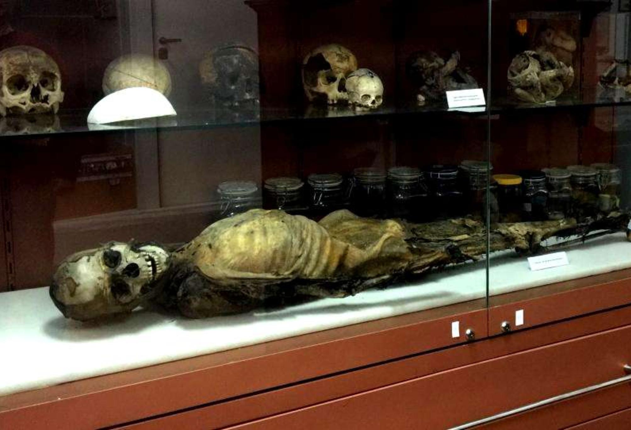 Σπήλαιο των Αμώμων ή η σπηλιά του Νταβέλη: Οι θρύλοι και η αληθινή ιστορία για τον λήσταρχο – Που σταματάει ο μύθος και που αρχίζει η πραγματικότητα