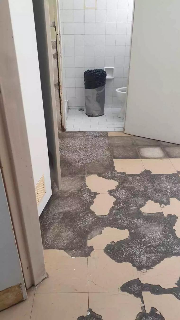 Νοσοκομείο Νίκαιας : Σφήκες τσιμπούσαν ασθενείς καταγγέλλει η ΠΟΕΔΗΝ – «Έκλεισε θάλαμος της παθολογικής»