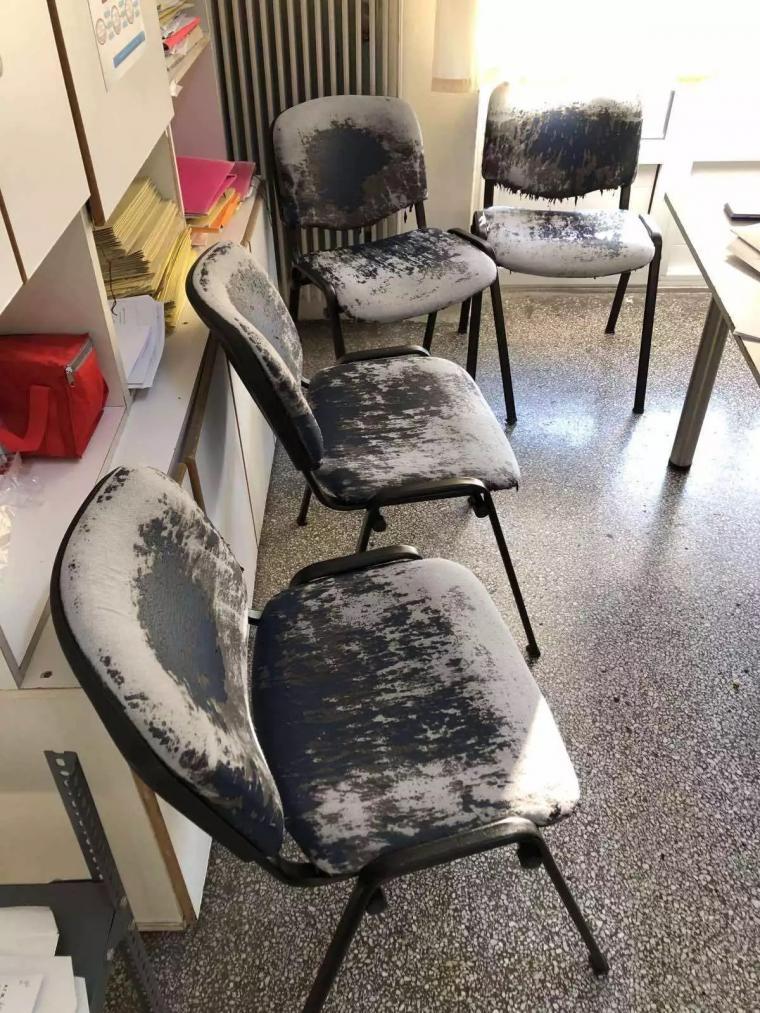 Νοσοκομείο Νίκαιας : Σφήκες τσιμπούσαν ασθενείς καταγγέλλει η ΠΟΕΔΗΝ – «Έκλεισε θάλαμος της παθολογικής»