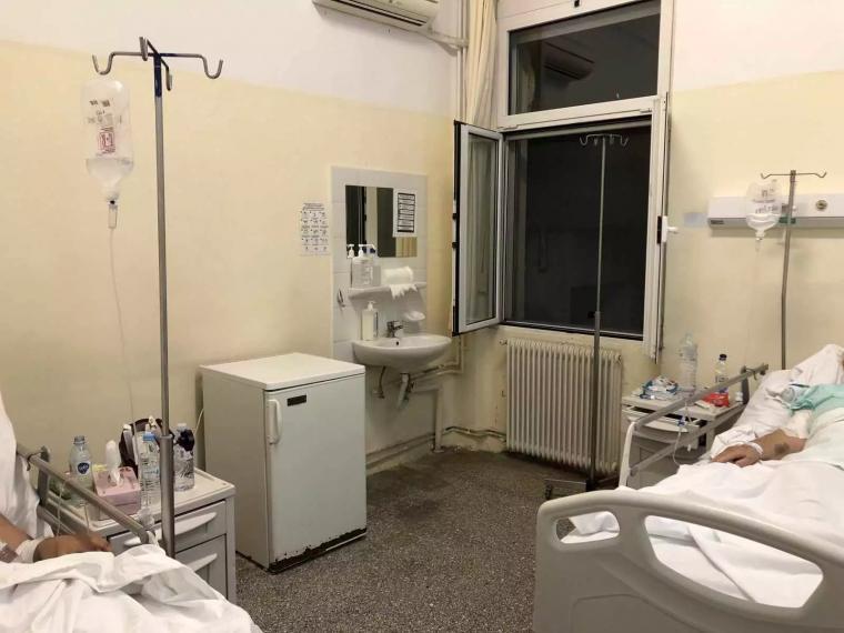 Νοσοκομείο Νίκαιας : Σφήκες τσιμπούσαν ασθενείς καταγγέλλει η ΠΟΕΔΗΝ – «Έκλεισε θάλαμος της παθολογικής»