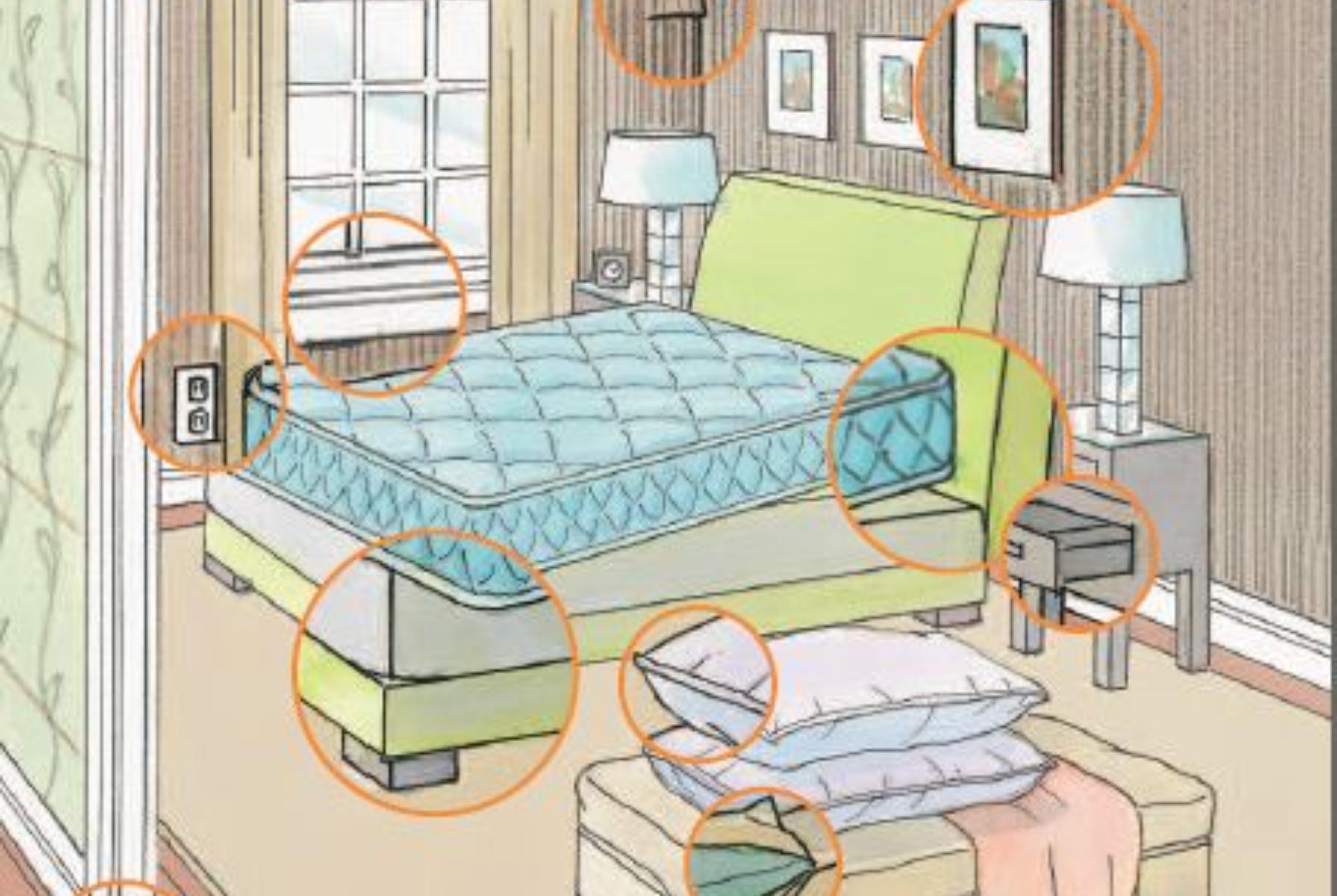 Κοριός το έντομο ταξιδευτής: Τα χαρακτηριστικά η αντιμετώπιση οι ασθένειες και η καταπολέμηση τους