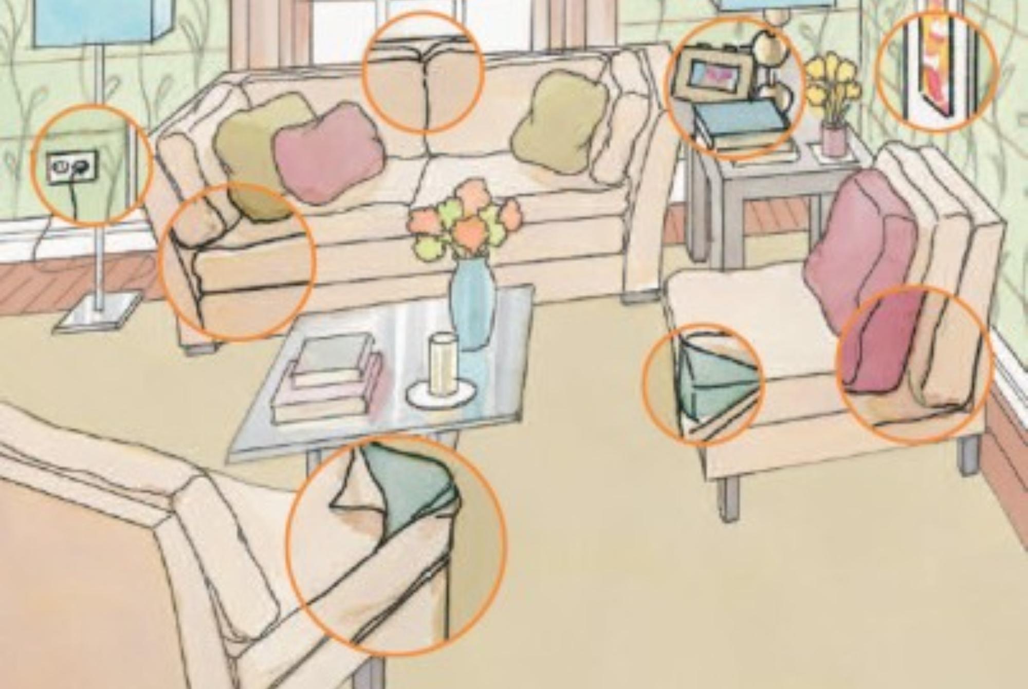 Κοριός το έντομο ταξιδευτής: Τα χαρακτηριστικά η αντιμετώπιση οι ασθένειες και η καταπολέμηση τους