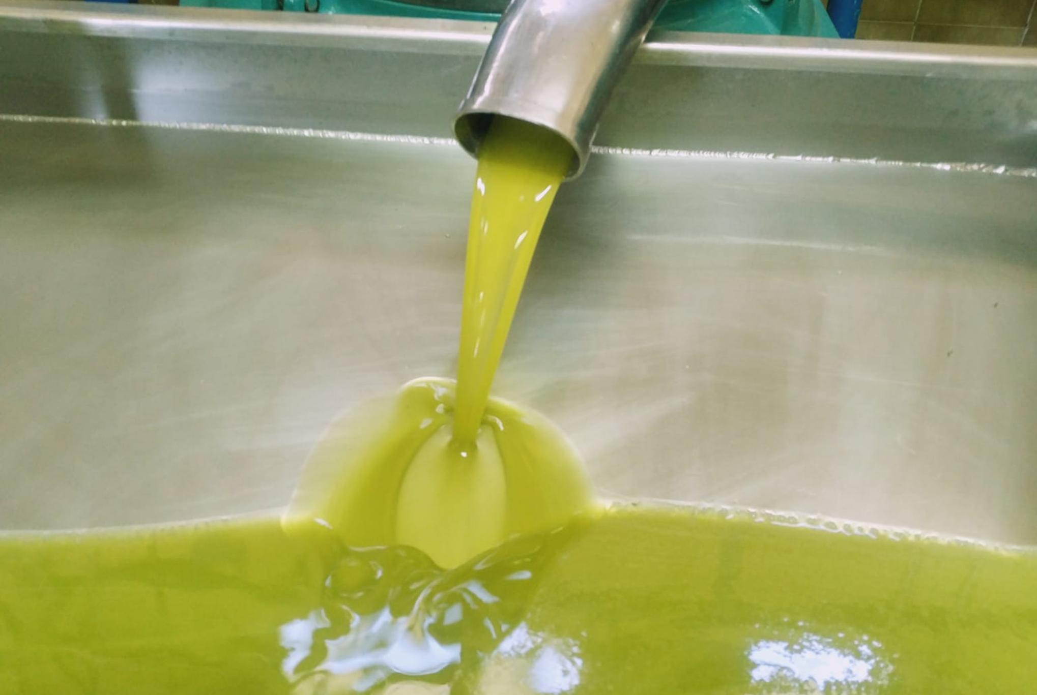 Ο ΕΦΕΤ Προειδοποιεί: Πως θα καταλάβετε ότι το ελαιόλαδο είναι νοθευμένο