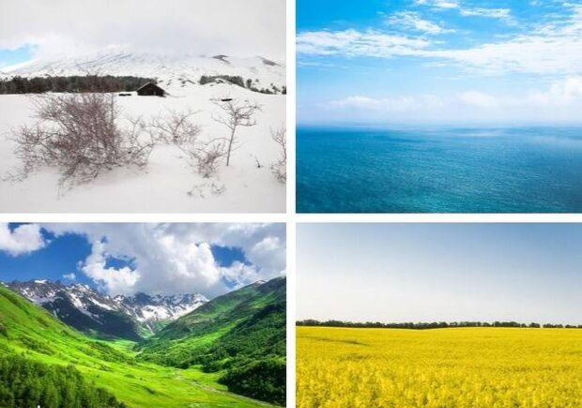 Ψυχολογικό τεστ: Διάλεξε μια εικόνα και ανακάλυψε ποιο είναι το έμφυτο ταλέντο σου