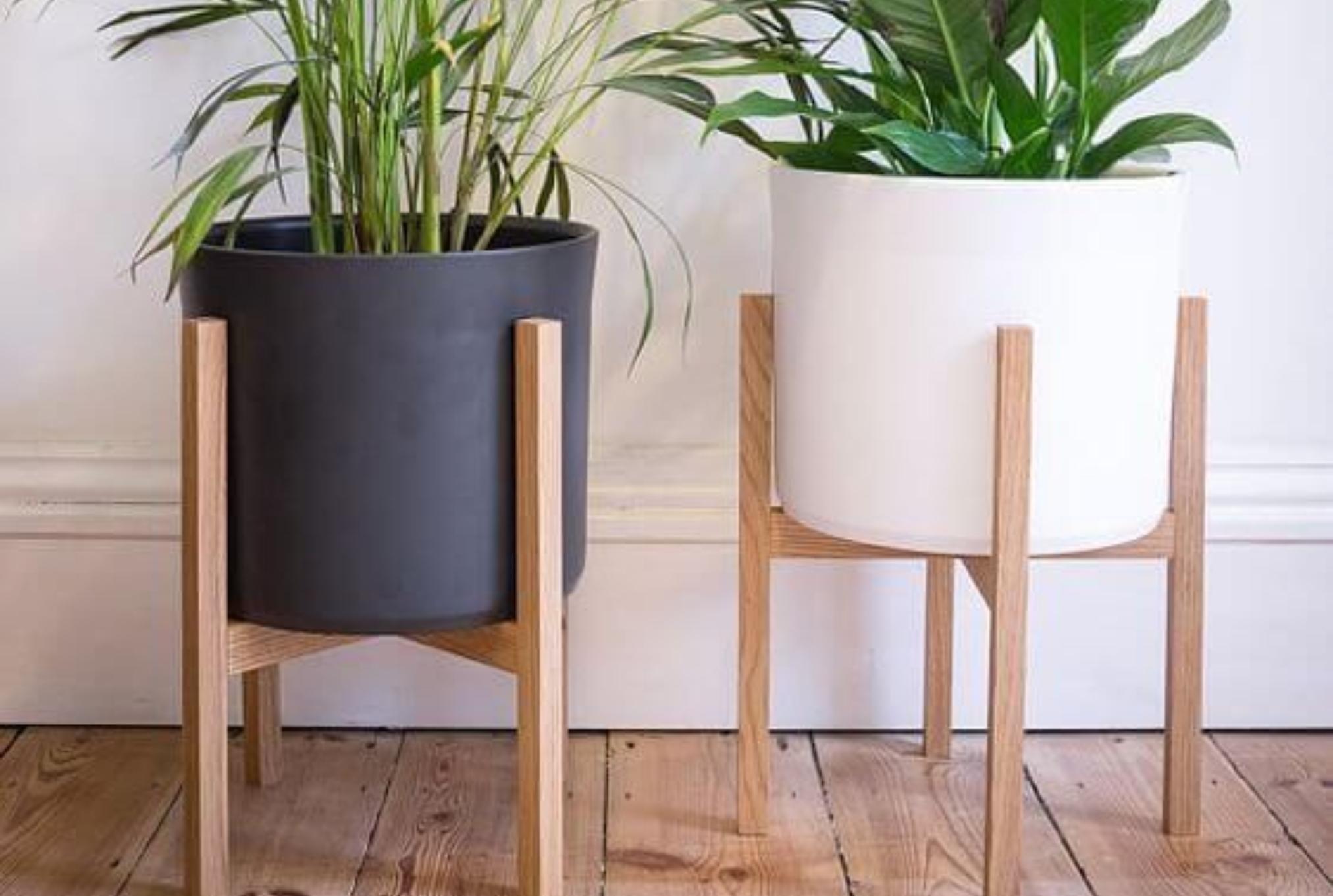 Μυρμήγκια στις ζαρντινιέρες και τις γλάστρες: Ξεφορτωθείτε τα οριστικά εύκολα και γρήγορα