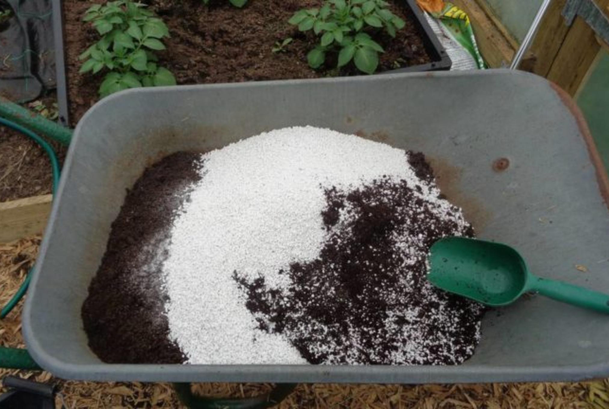 Μυρμήγκια στις ζαρντινιέρες και τις γλάστρες: Ξεφορτωθείτε τα οριστικά εύκολα και γρήγορα