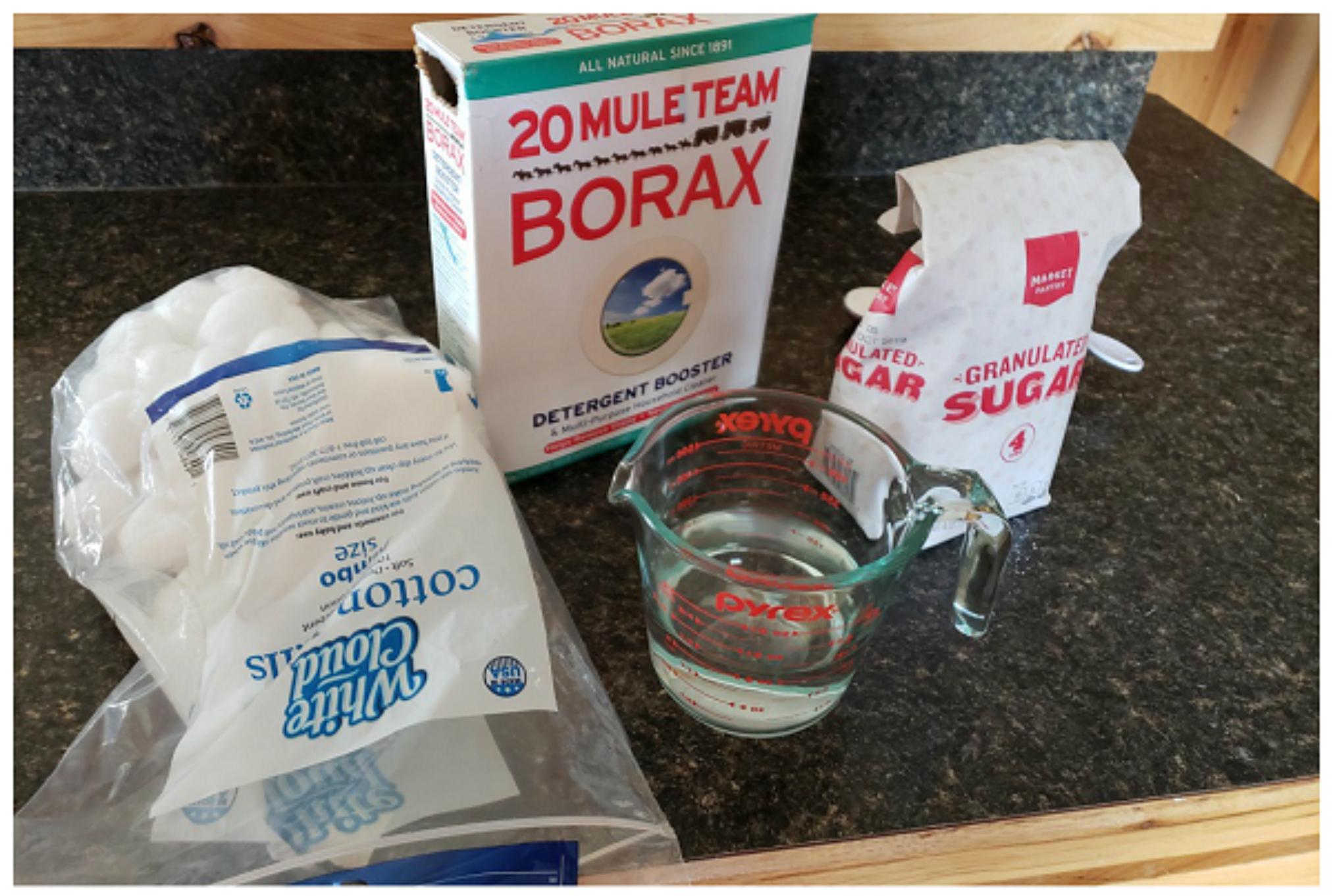 Μυρμήγκια στις ζαρντινιέρες και τις γλάστρες: Ξεφορτωθείτε τα οριστικά εύκολα και γρήγορα