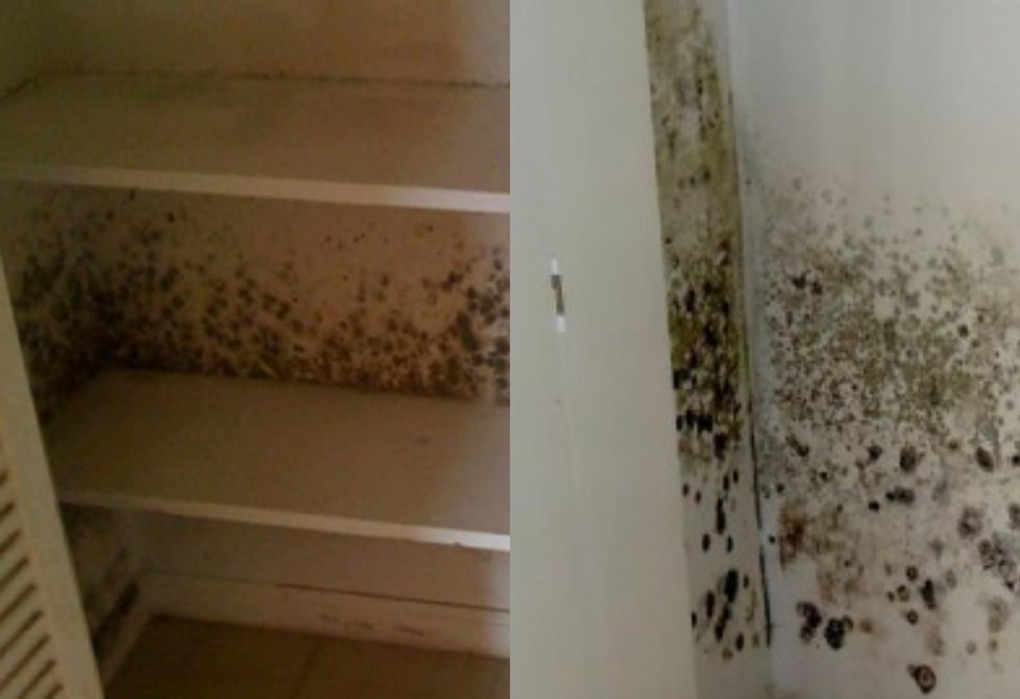 Μούχλα και υγρασία στην ντουλάπα και στον τοίχο πίσω από αυτή: Δείτε πως να απαλλαγείτε οριστικά
