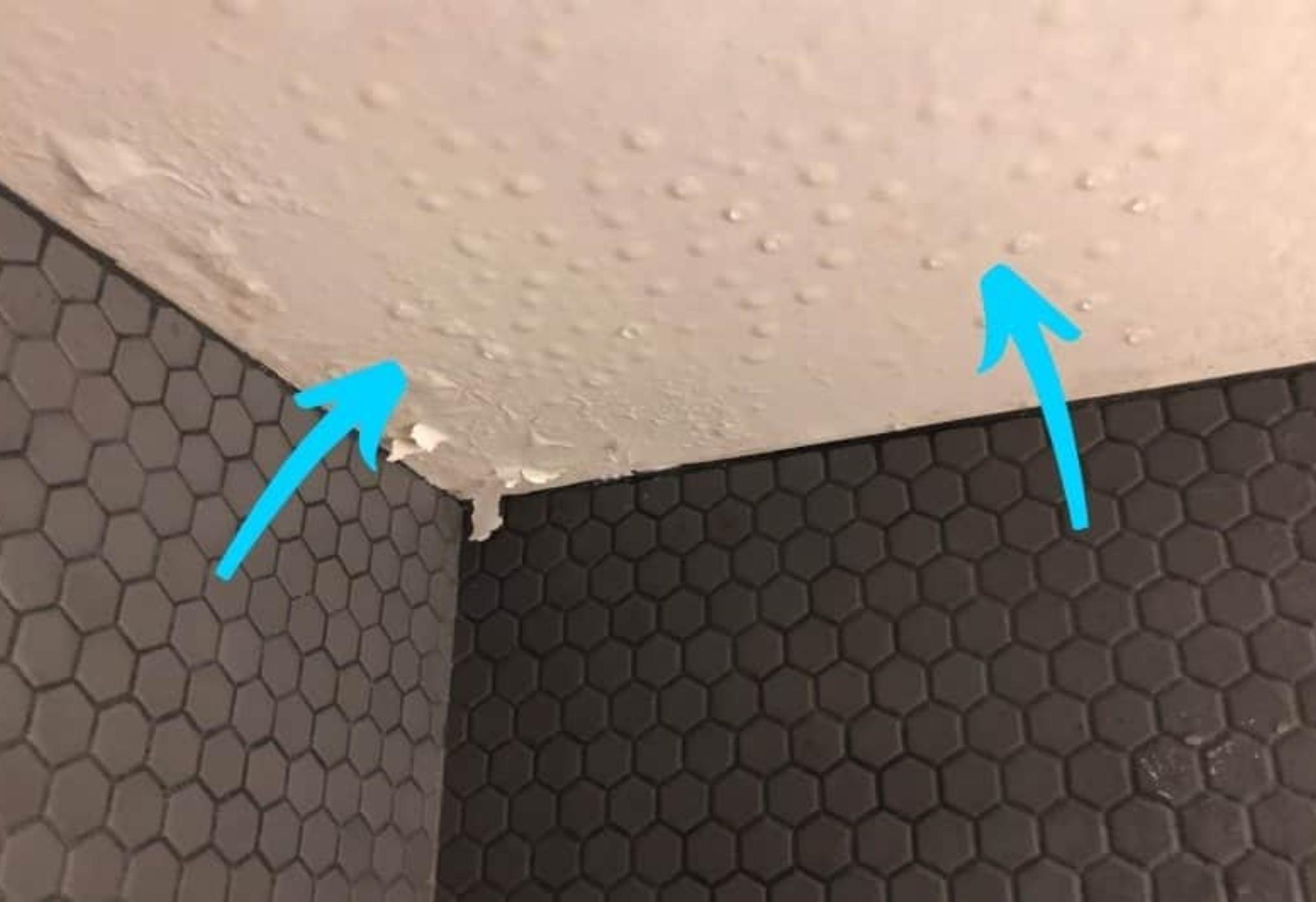 Μούχλα και υγρασία στην ντουλάπα και στον τοίχο πίσω από αυτή: Δείτε πως να απαλλαγείτε οριστικά