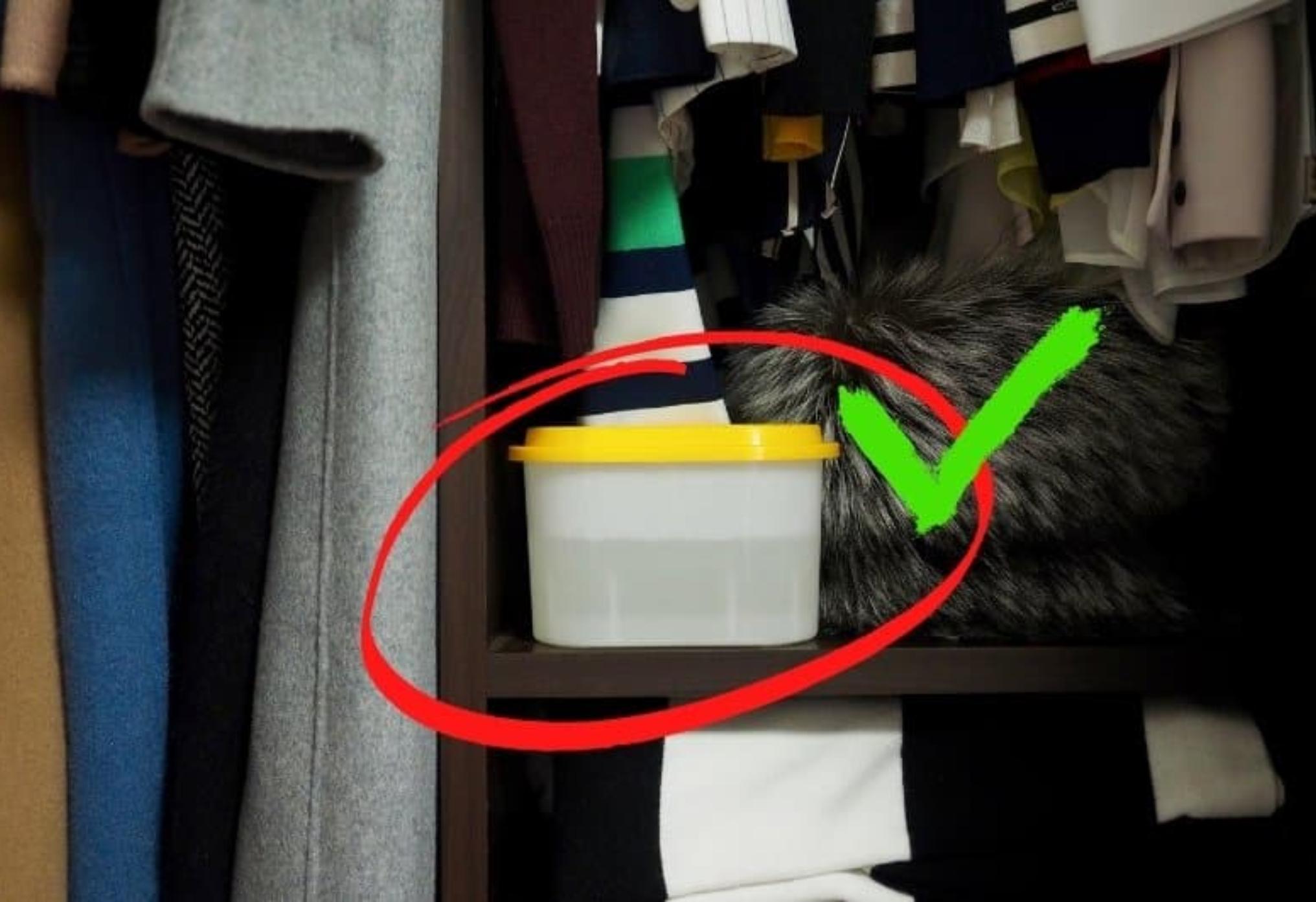 Μούχλα και υγρασία στην ντουλάπα και στον τοίχο πίσω από αυτή: Δείτε πως να απαλλαγείτε οριστικά