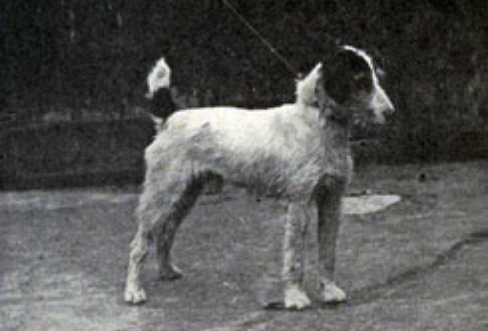 Η σκοτεινή πλευρά τις επιστήμης: Απάνθρωπα τερατώδη πειράματα που έμειναν στην ιστορία και ξεπερνούν κάθε λογική