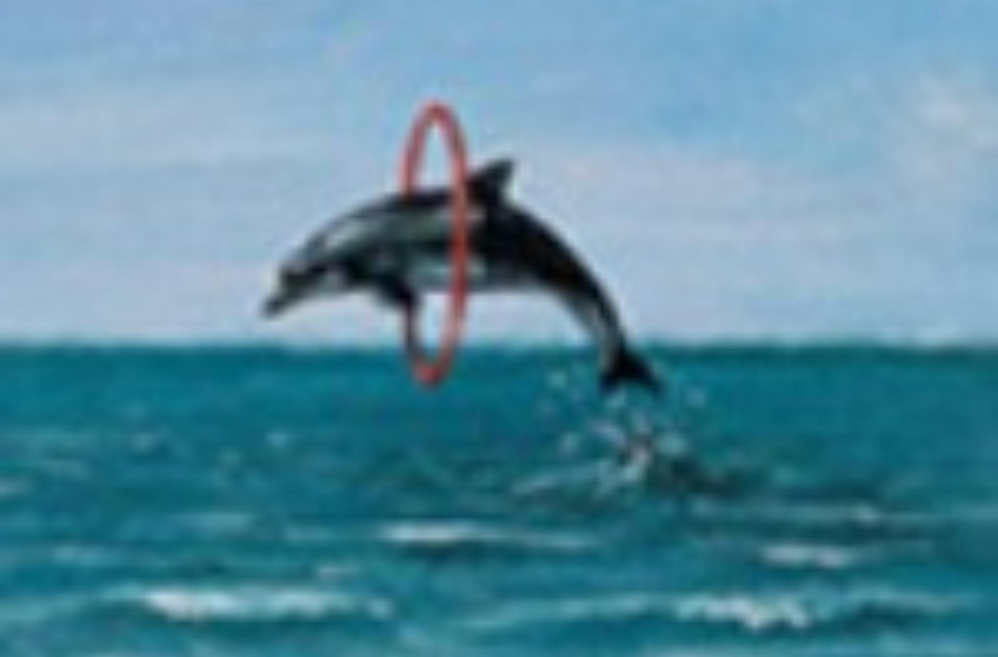 Ψυχολογικό τεστ: Διάλεξε μια φιγούρα και ανακάλυψε τις ανεξερεύνητες πτυχές τις προσωπικότητας σου