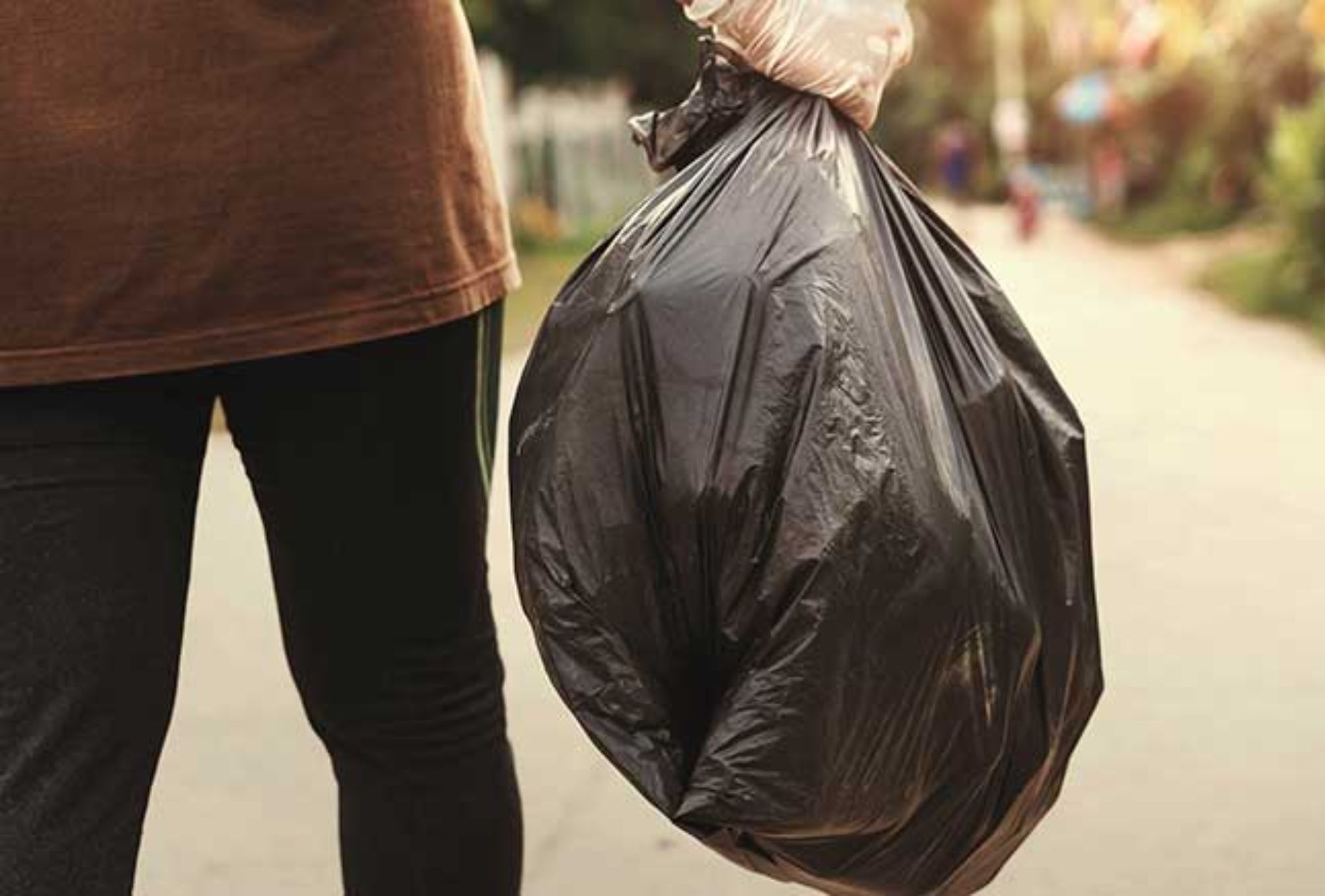 Σφήκες η φωλιά σφήκας στο σπίτι: Καταπολεμήστε οριστικά το επικύνδινο αυτό έντομο