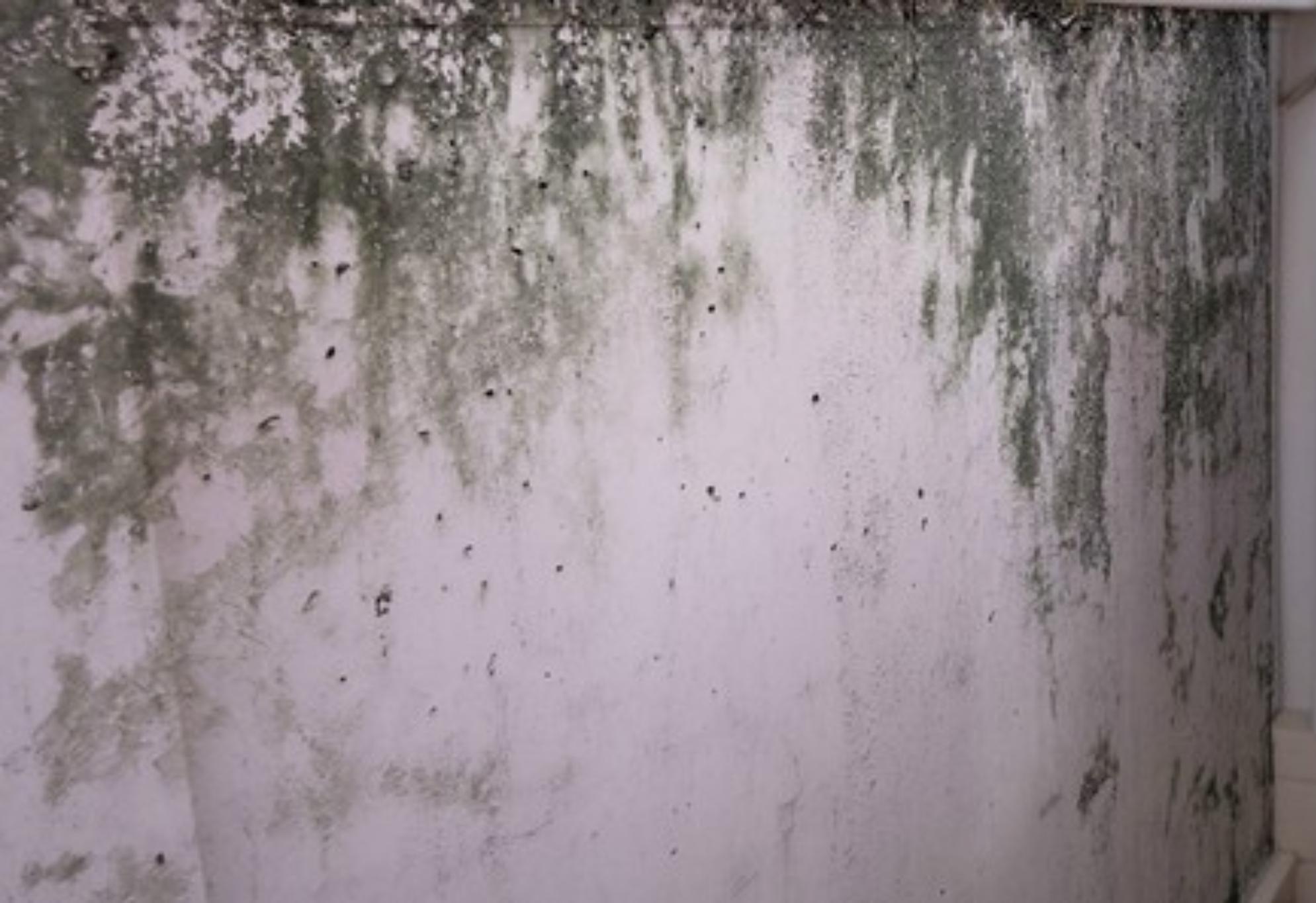 Μούχλα υγρασία συσσωρευμένη σκόνη και μυρωδιά κλεισούρας στην αποθήκη: Καθαρίστε την και κάντε την να αστράφτει