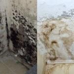 Μούχλα υγρασία συσσωρευμένη σκόνη και μυρωδιά κλεισούρας στην αποθήκη: Καθαρίστε την και κάντε την να αστράφτει 