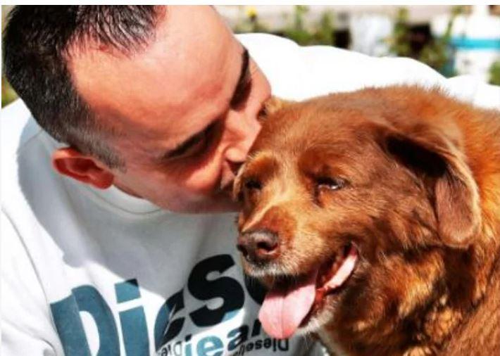 Πέθανε σε ηλικία 31 ετών ο Μπόμπι, ο γηραιότερος σκύλος στον κόσμο