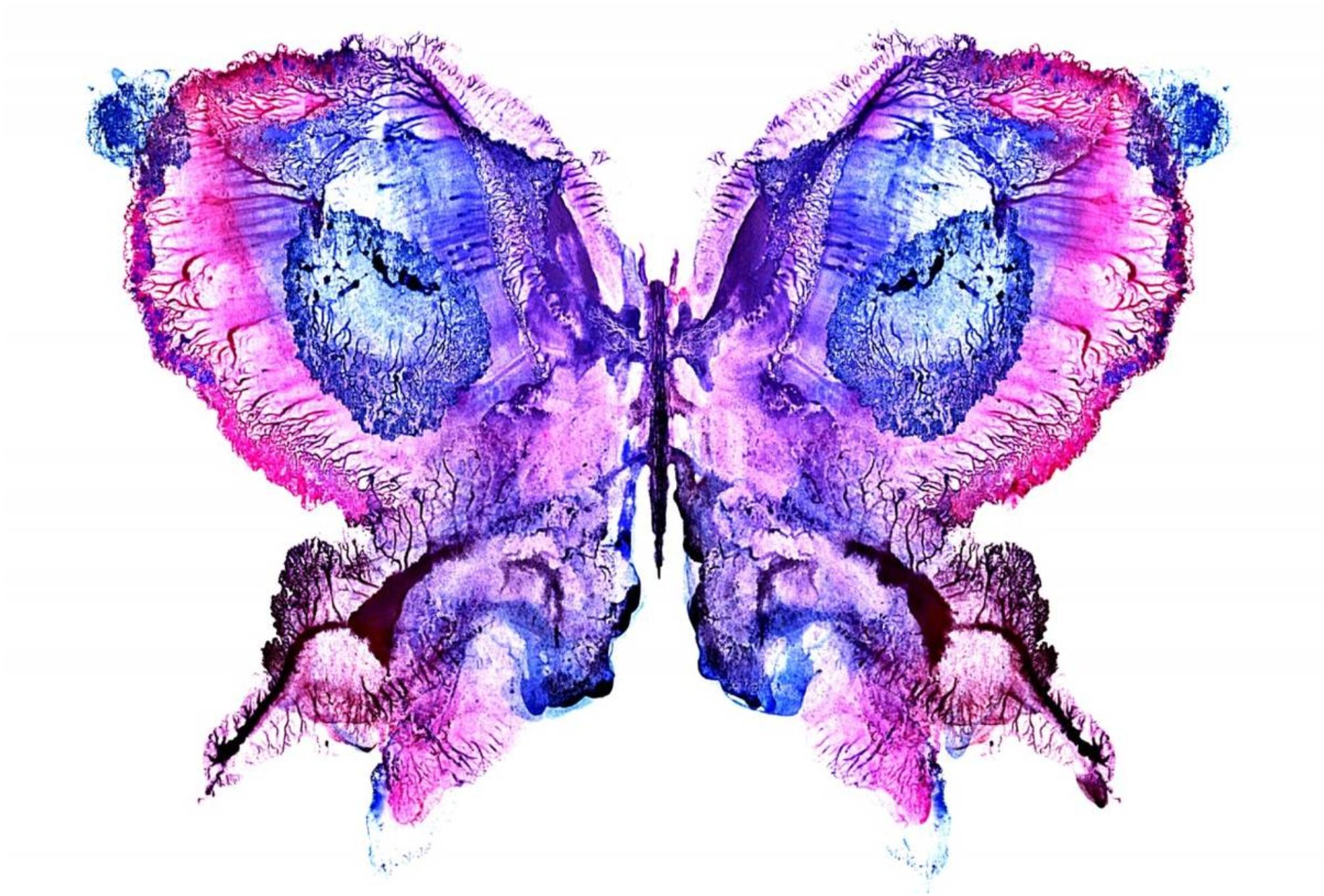 Ψυχολογικό τεστ: Αισιόδοξος ευφυής ή εσωστρεφής -Κάνε το τεστ και ανακάλυψε το κυρίαρχο χαρακτηριστικό σου