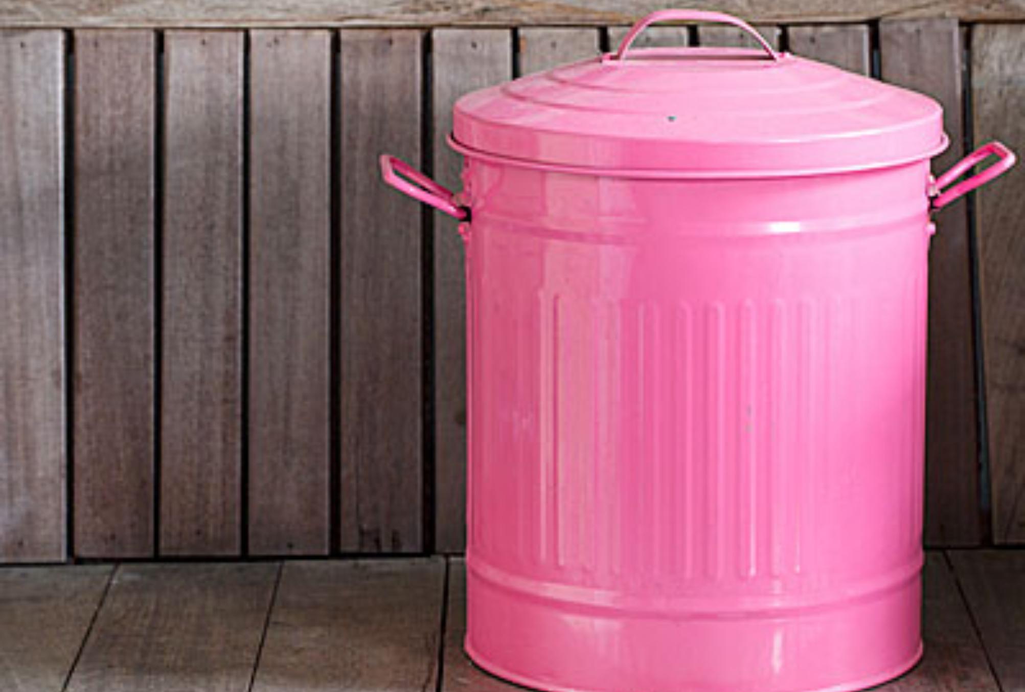 Υπολείμματα τροφών άλατα και άσχημες μυρωδιές στον κάδο σκουπιδιών κουζίνας: Δείτε πως να τον κάνετε να αστράφτει σαν καινούριος