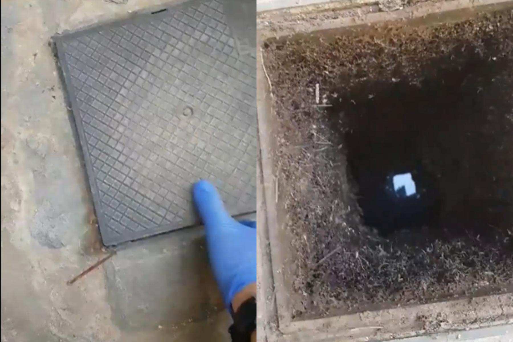 Φωλιά κουνουπιών στο σπίτι: Δείτε πως να απαλλαγείτε πως να την αναγνωρίσετε και πως να τα διώξετε