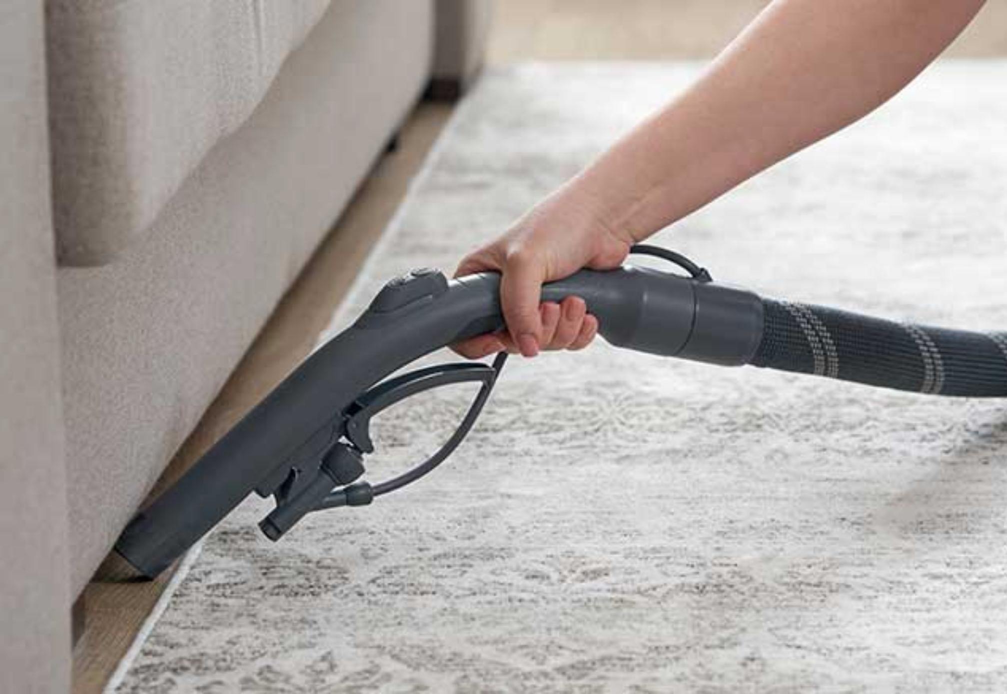 Ψαράκι ή Ασημόψαρο: Αν έχετε υγρασία σκόνη και μούλα τότε κυκλοφορεί στο σπίτι σας – Δείτε πως να το απομακρύνετε μια και καλή