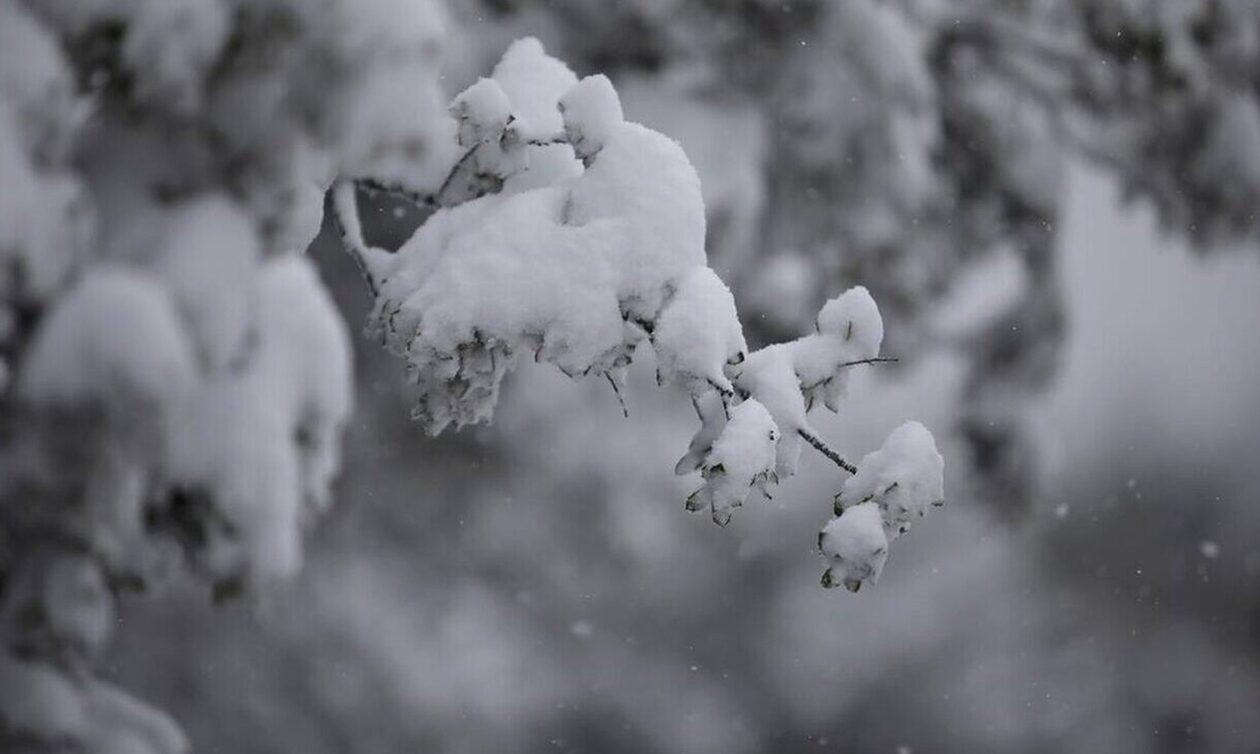 Μερομήνια: Έρχονται απότομες χιονοπτώσεις