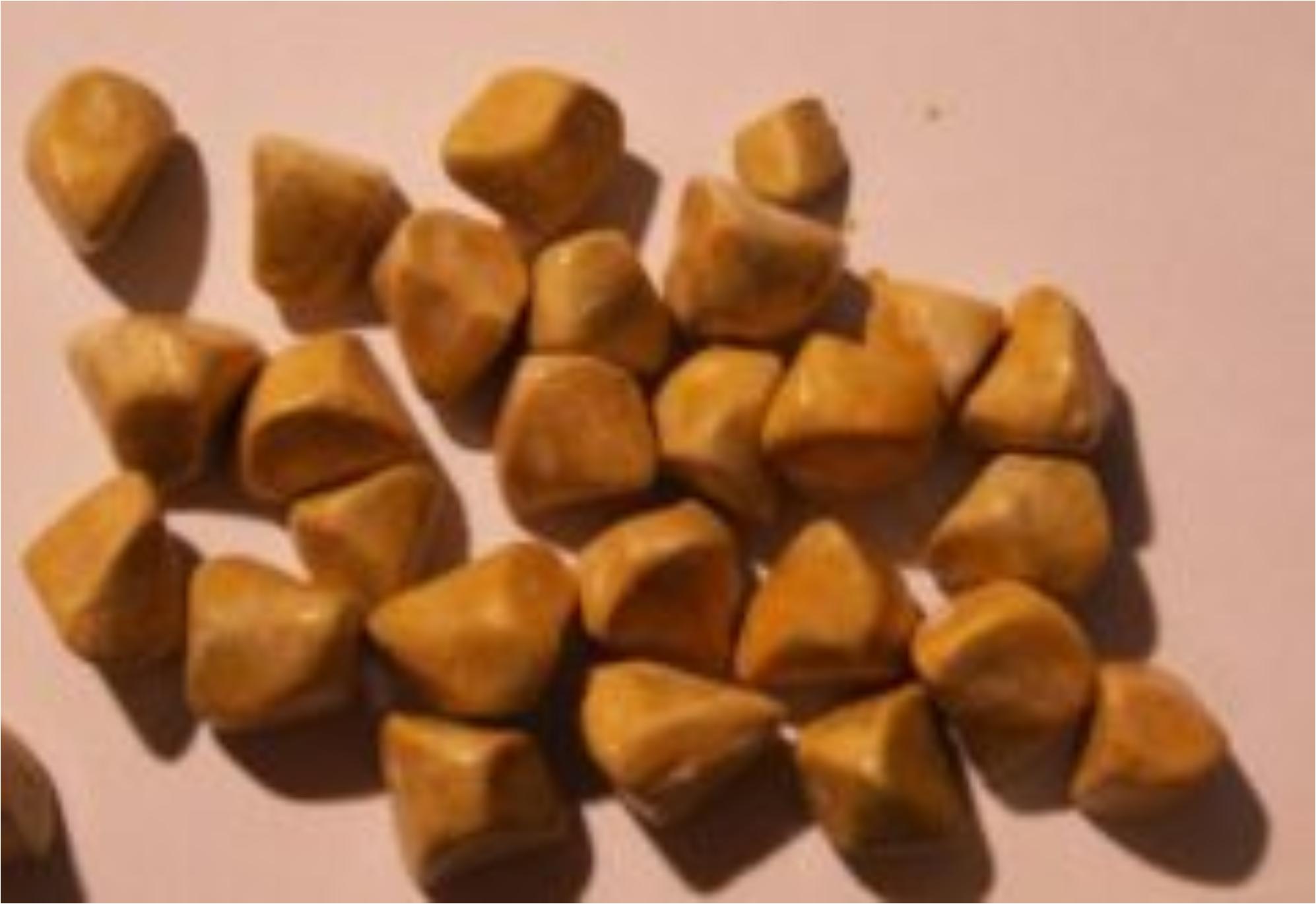 Πέτρες στη χολή ή Χολολιθίαση: Ποια είναι τα συμπτώματα και ποια η θεραπεία